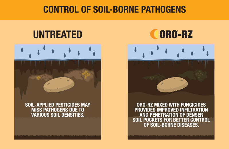 Control of Soil-Borne Pathogens